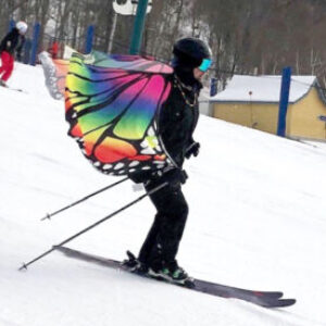 Group logo of Day Trips