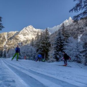 Group logo of Cross Country Skiing